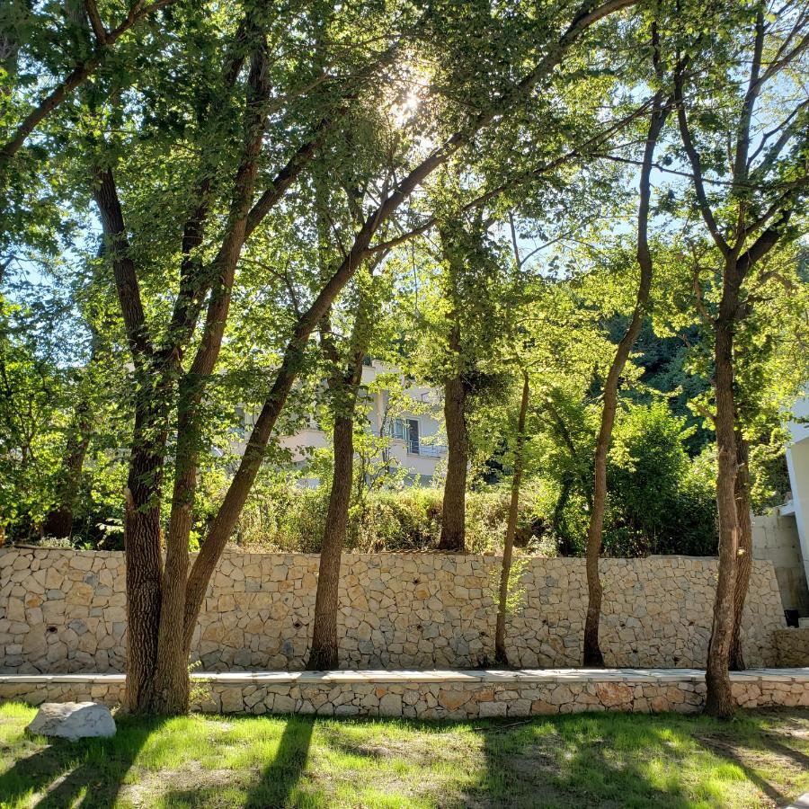 Green Hill Apartments Ulcinj Ngoại thất bức ảnh